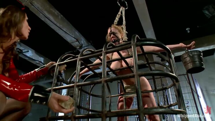 Ariel Carmine's Lesbian BDSM: Dee Williams in Anal Surrender