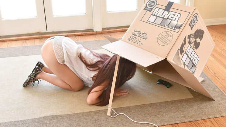 Little Thief Gets Caught by Law