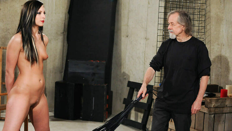 Sex Toys and Obedience Training