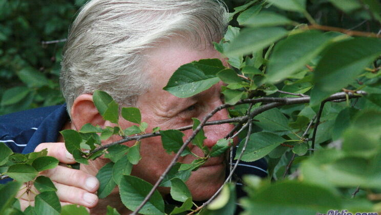 Boobarella's Blowjob and Doggystyle Fun